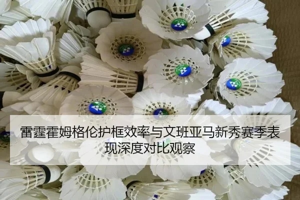 雷霆霍姆格伦护框效率与文班亚马新秀赛季表现深度对比观察